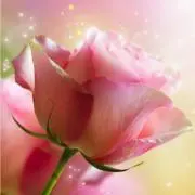 ゼロ☆