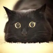 しお☆の画像