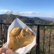ねこの画像