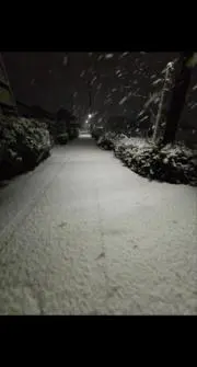 buppaの画像
