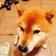 ★ケンシロウ★の画像