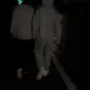 パパイヤの画像