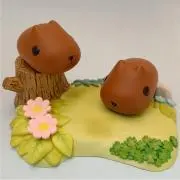 いろのしまの画像
