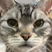 kurikoの画像