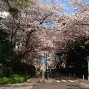 つき◎即購入不可