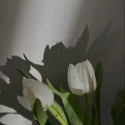 miの画像