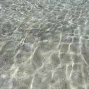 n【プロフ必読】の画像