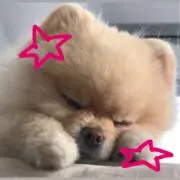 ぬりの画像