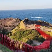 トムの画像