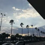 ななの画像