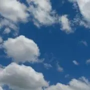 puchihanaの画像