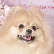 xyzの画像