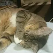 ★まぁち★