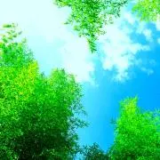 ありあの画像