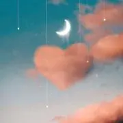 aripoの画像