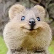 るーの画像