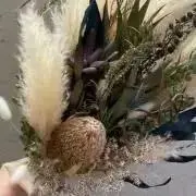 AmAmの画像