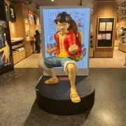 むぅの画像