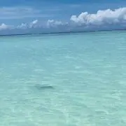 miki★の画像