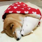 まる
