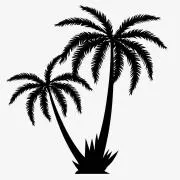 まなつの画像