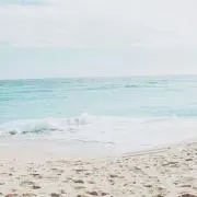 こはるの画像