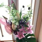 おいもさんの画像