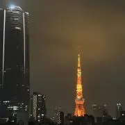 saaの画像