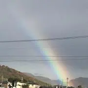ぎ…んの画像