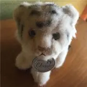 マシャマシャ  ❤️プロフ必読❤️の画像