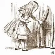 ちわわの画像