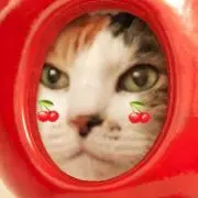 おすしの画像