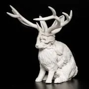 キングダムの画像