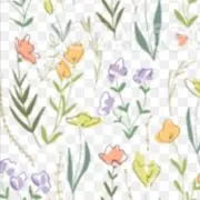 【セール中】交渉OK♪コメント下さいの画像