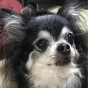 ナッツのママ