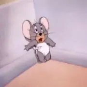 りみーの画像