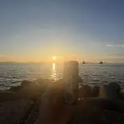 クモ