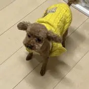 おふろの画像