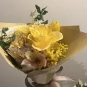 やさいの画像