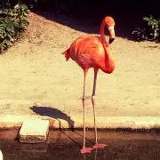 ☆らぶSK☆の画像