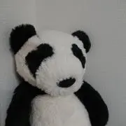 はやそう