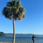 ぽんプロフ必見の画像