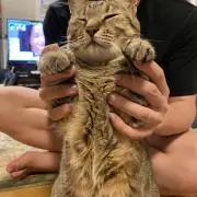 MOIMOIの画像