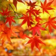 えにし(プロフ必読)