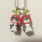 MARUの画像
