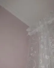conaの画像