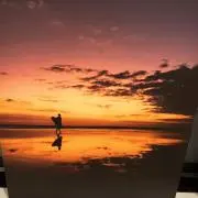 ASIAN RISINGの画像