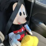 かぉりんの画像