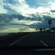 みーの画像
