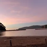 Rioの画像